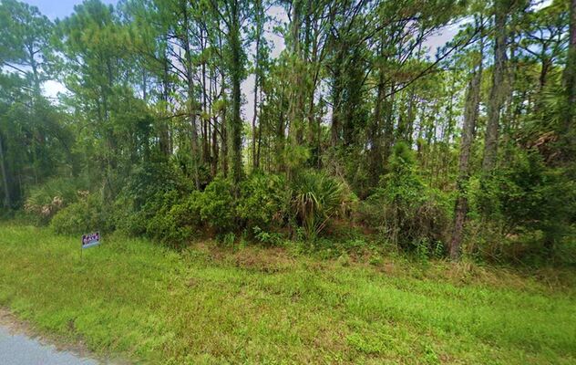 Escape The Madness to 0.23 Acres in Florida! Only $ 295/Mo