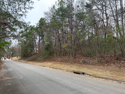 Dream Life Awaits: Jefferson, Alabama Land - 0.34 Acres!