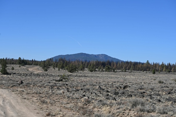 Untamed Oregon Oasis: Your Off-Grid Canvas Awaits!