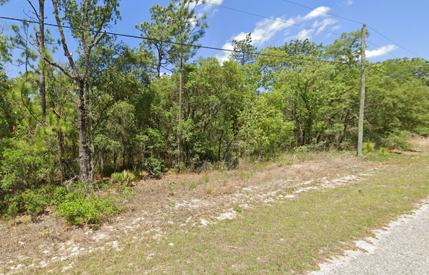 REDUCED! Citrus Springs FL - 1/4 Acre, Water, Power, No HOA!