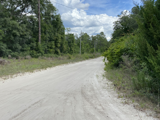 0.26 Serene Acres for Your Financial Freedom in FL! $199/Mo