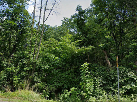 0.42 acres in Monroe, Pennsylvania - Less than $270/month