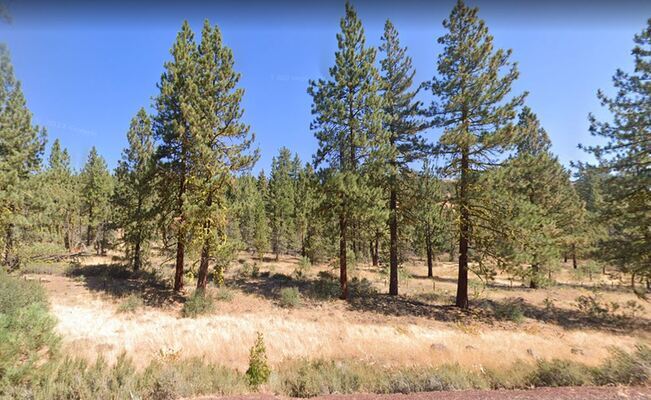 Begin Creating Fantastic Memories from 0.92 acres in Modoc, CA!
