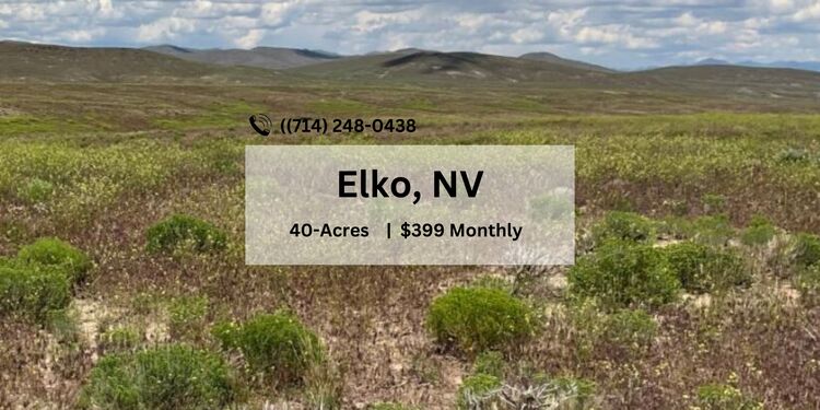 40 Acres for Sale in Elko, NV
