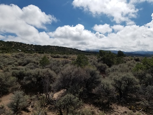SOLD!!! Experience UNLIMITED freedom on 5.12 acres in Costilla County! Only $349/MO