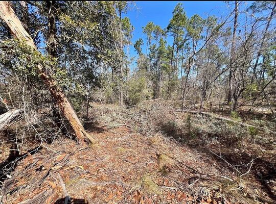 Beautiful 1.15 Acre in Compass Lake, Power On Road.