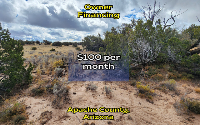 Arizona's Best <del>$110/mo</del> Now ONLY $100/month