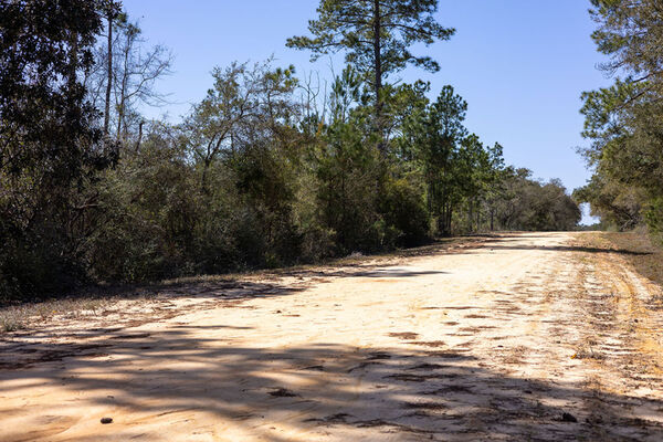 1.18 AC in Florida – Lakes, Forests & Close to Marianna!