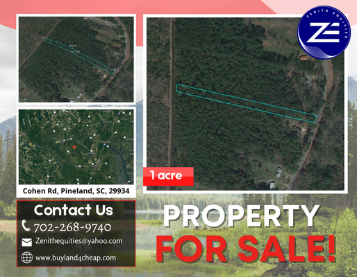1 Acre Buildable lot in Jasper County SC - just $11,900