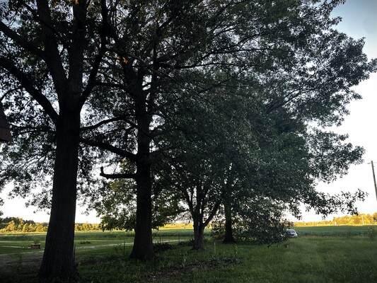 The Last, Unbuilt Property!  Ideal Location, St. Louis - Low Down Payment!