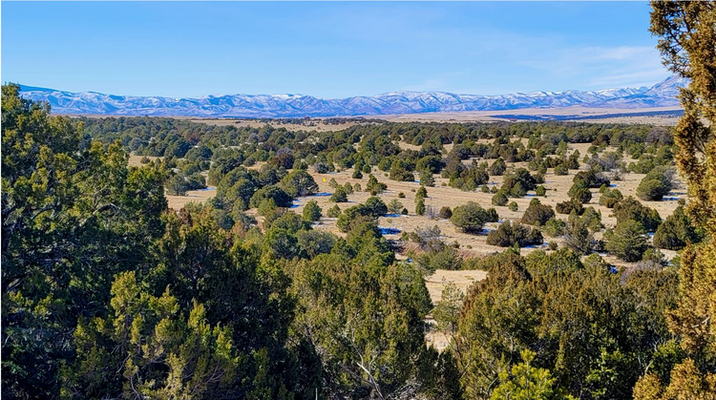 Mountain Views on 35.31 Acre Ranch