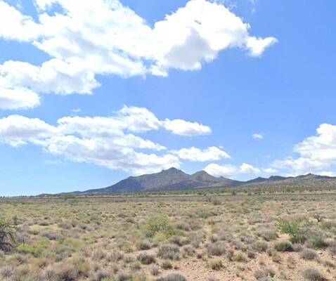 SOLD! Land Grab Madness: $99 Down, 1.24 Acres - Act Quickly!