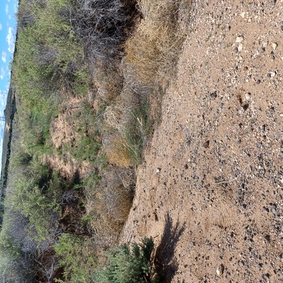 Weekend Warrior's, Bring your 4x4!  Only $50/month!