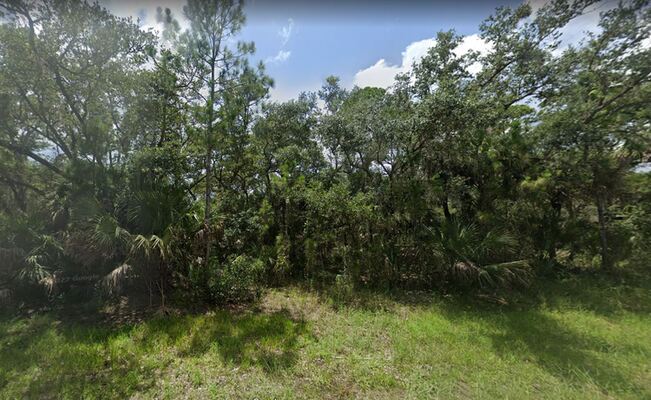 Nature on a Budget in Port Charlotte! 0.23 Acres only $270 Mo