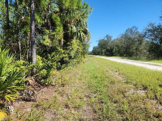 Buildable 0.22 acre in Tropical Gulf Acres, FL - Power Nearby!!