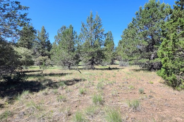 2.24 Acres With Power, Next To 1000s Of Acres Of Public Land