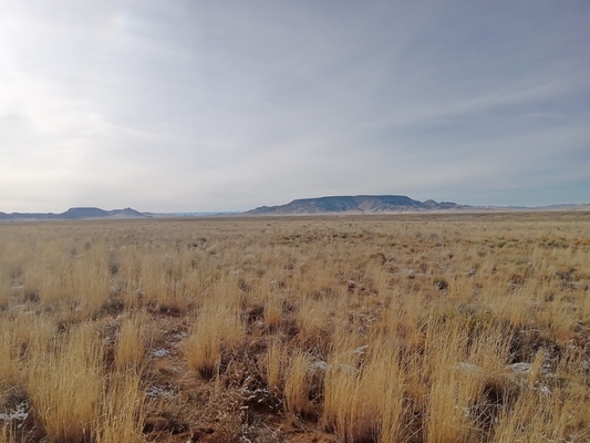 Get Your Future 5-acre Property on a Budget for Just $180 in Colorado!