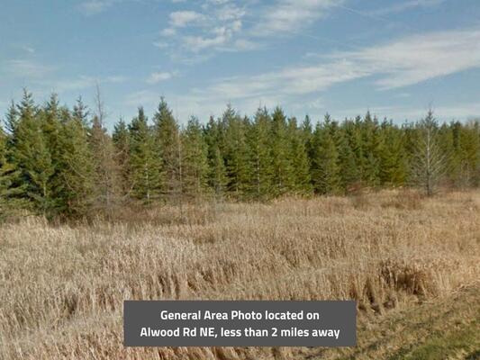 1.36 acres in Beltrami, Minnesota- Less than $310/month