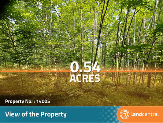 0.54 acres in Crow Wing County, Minnesota - Less than $270/month