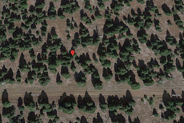Starting is As Easy It Sounds with This 0.91-acre in Modoc, CA/ Only $175 Mo