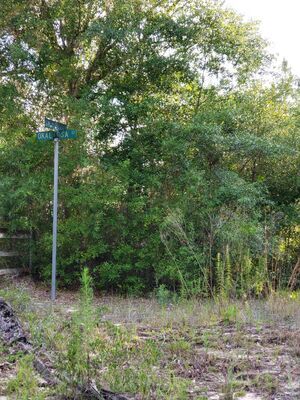 0.34 Very Private Acres - $150/mo, Putnam County, FL