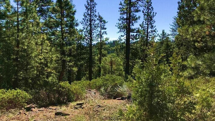 Invest in 0.95 Acres in CA for as low as $300 Down!