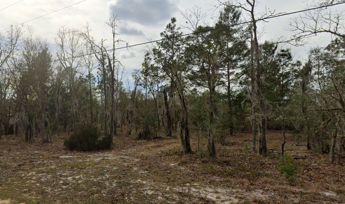Escape to Tranquility: .22 Acre Lot in Putnam County, FL!