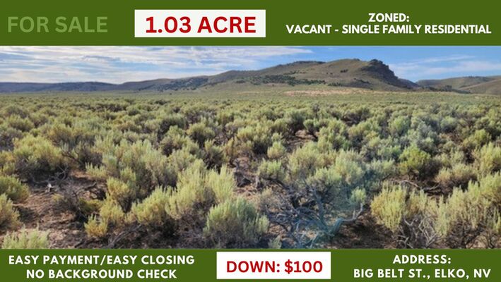 Make Memories on Your Own 1.03 acre Property in Elko, Nevada