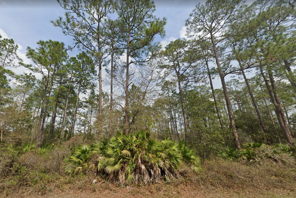 Everything You Need Is Awaiting You on This 0.43-Acre Lot in Putnam Co., Fl. Just $360/Mo.!