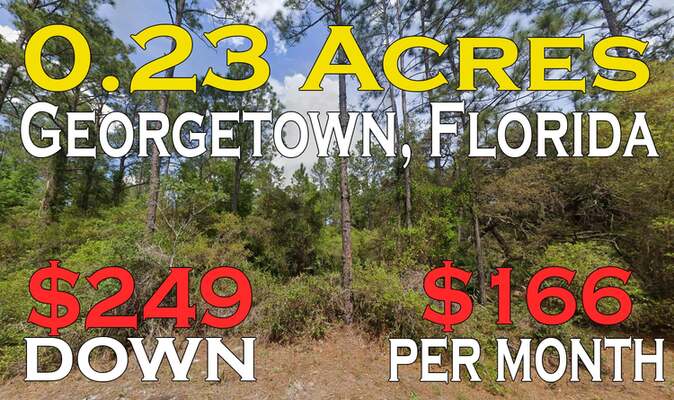 0.23 Acres With Power, NearLake, Georgetown, FL