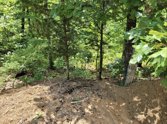 TN-5-acre, Unrestricted Mountain Oasis