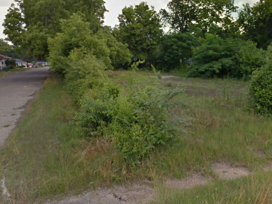 0.30 acres in Dallas County, Alabama - Less than $190/month