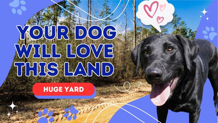 SOLD-Your dog will love this land.  Room to run on 1.1 acres