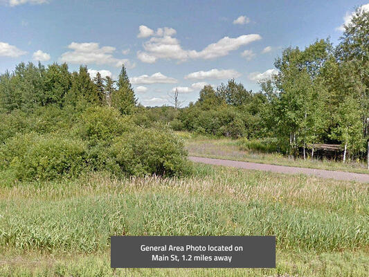 0.17 acres in Carlton County, Minnesota - Less than $180/month