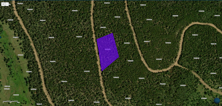 2.05-acre Green Fort Garland Patch Up For Grabs!
