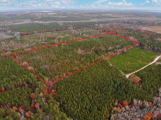 34 Acres Good Hunting Spot For Sale in Sussex County, VA