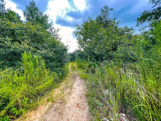 Superb 0.28 Acre Residential Land Lot in Avon Park Lakes!