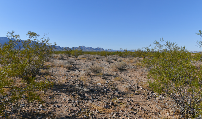 Staked & Electricity, 2.31-Acre Lot- Located In the Heart of Golden Valley, AZ