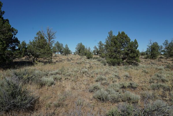 Serene 1.5-Acre Off-Grid Oasis in Oregon Pines Subdivision - Embrace Nature's Tranquility