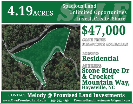 4.19ac BEST DEAL in Hayesville, NC Lot Sale