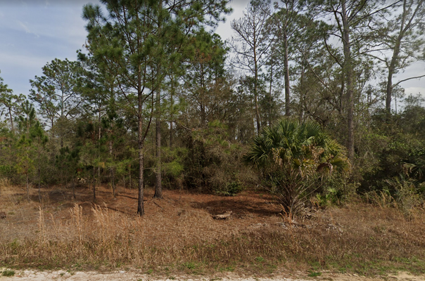 Panoramic Views On 0.44-Acres in Putnam County, Florida! Only $299/Mo.!
