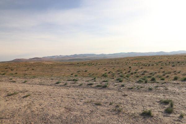 40 Acres of Land in Eureka, NV with No Restrictions