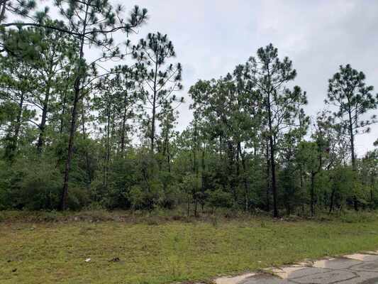 Expansive .55-Acre Lot in Sunny Hills! Owner Will Finance!
