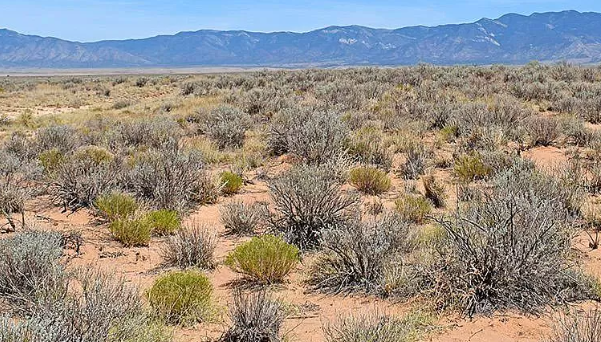 Stunning 0.25-Acre Valencia Lot in NM: $100/Month!