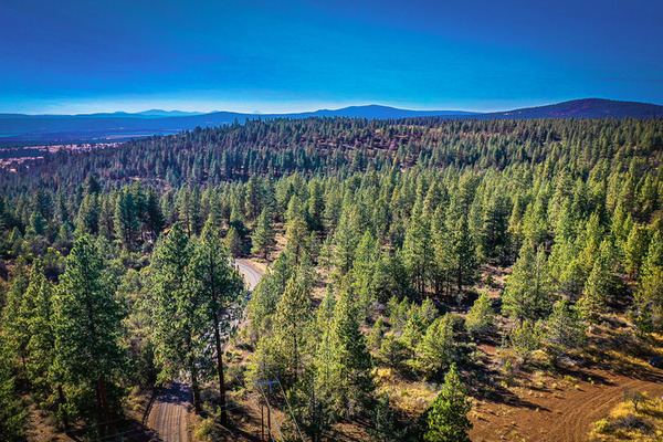 Trees, Trees, Trees!!  You have finally found your Klamath County retreat!!