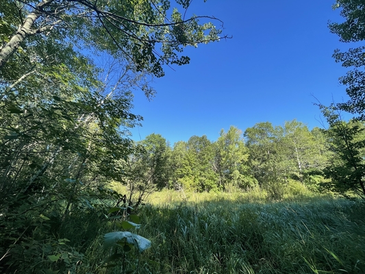Lake Mille Lacs at your doorstep: own 0.53 acres of land now