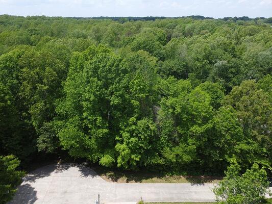 Treed 0.52 Acres  to Seattle in NC only $629 monthly