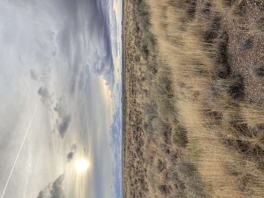 What could your future look like if you owned land? Here is beautiful land in Navajo County, AZ close to power! Perfect for building a home or cabin.