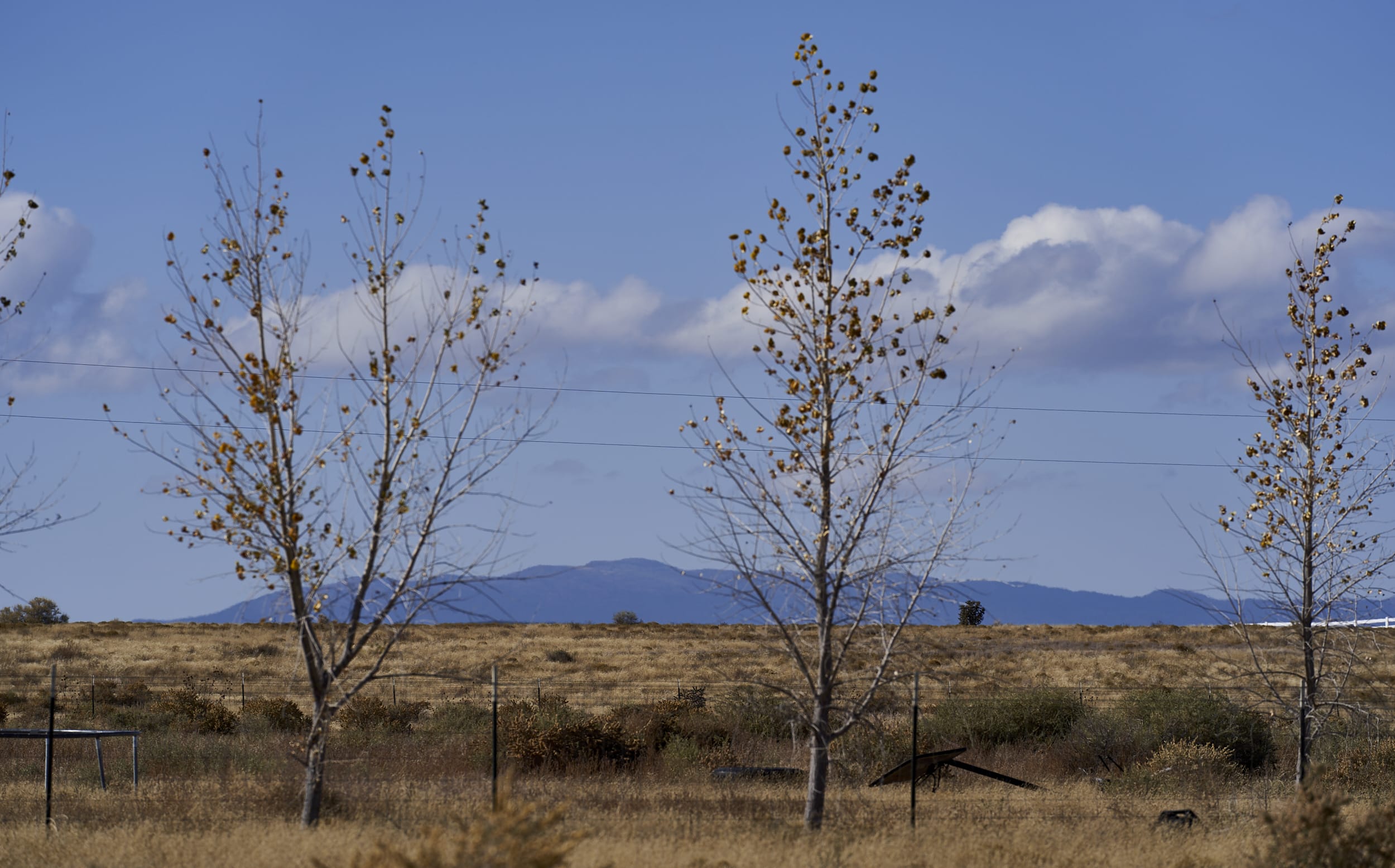 Saline Pump Rd, McIntosh, Torrance, New Mexico, 87035 Land for Sale