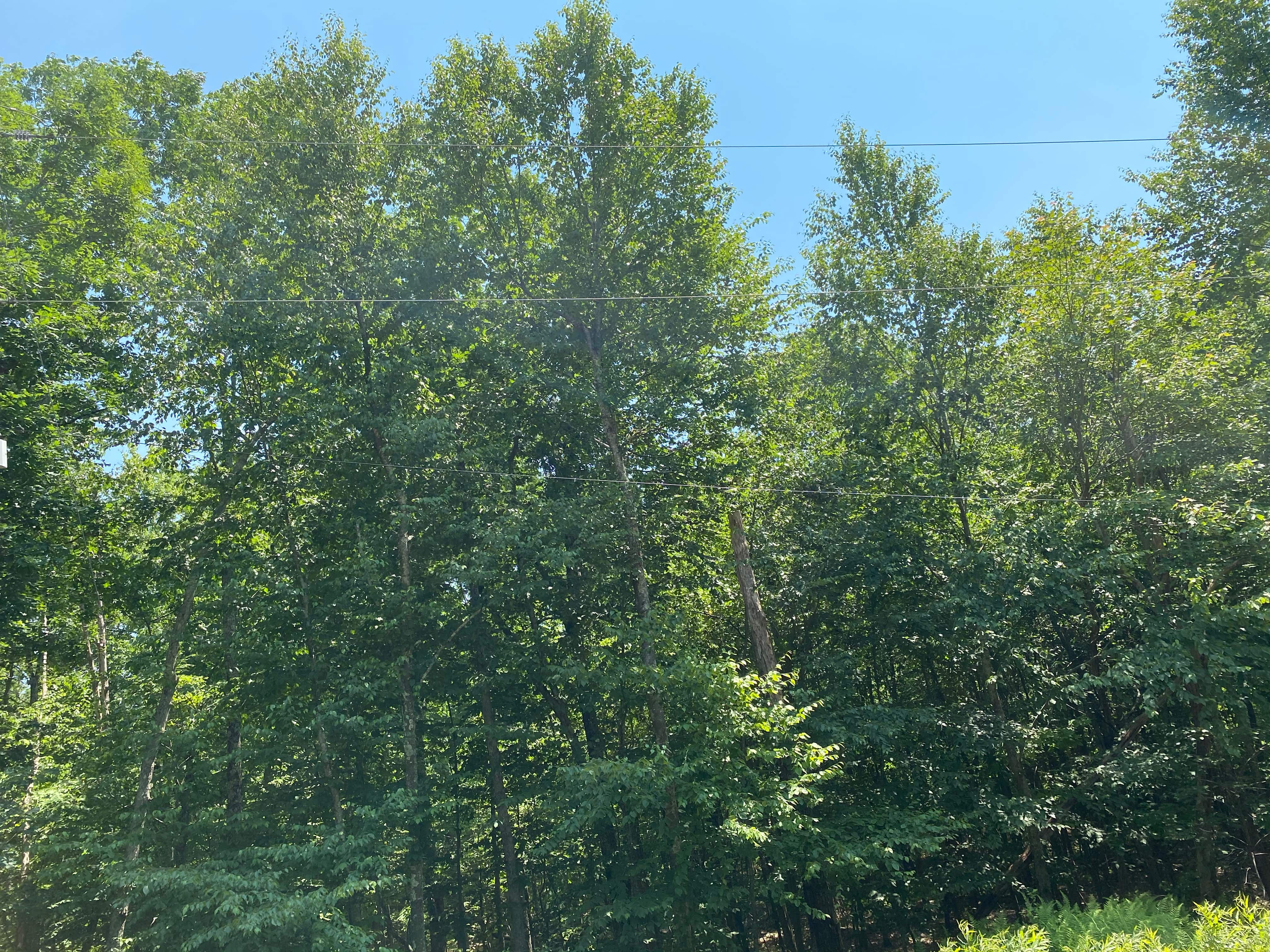 Oak Ln, Cresco, Monroe, Pennsylvania, 18326 Land for Sale Landmodo